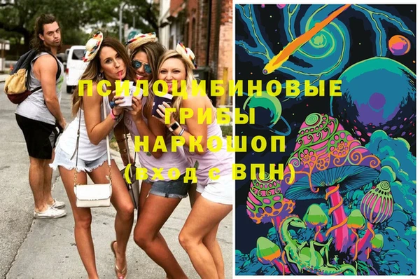 экстази Новозыбков