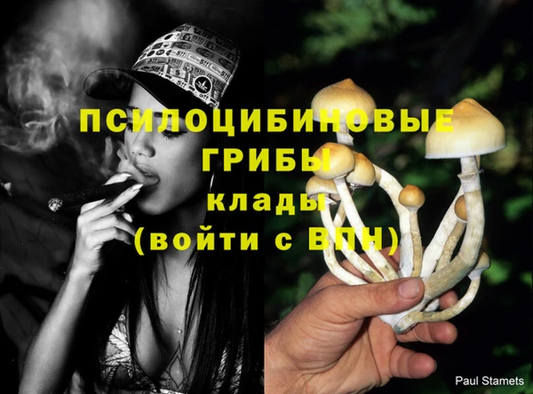гидропоника Новокубанск