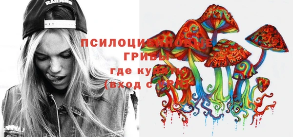гидропоника Новокубанск