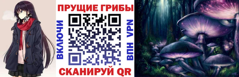 Купить где  Анжеро-Судженск  Галлюциногенные грибы ЛСД 